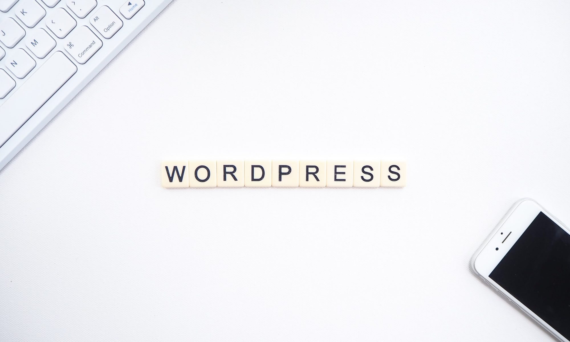 theme template wordpress wp gratuitpersonnalisable free premium minimaliste telecharger collection wordpress cafe